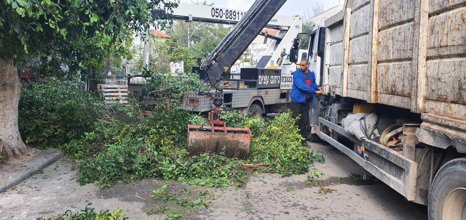 WhatsApp Image 2020-01-29 at 1.18.38 PM.jpeg.jpeg